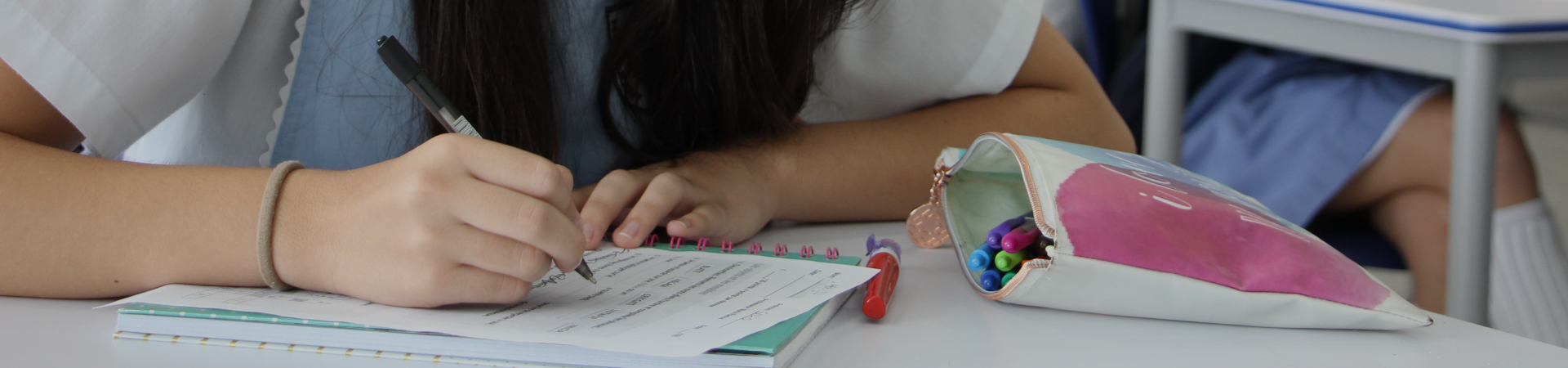 Curriculum